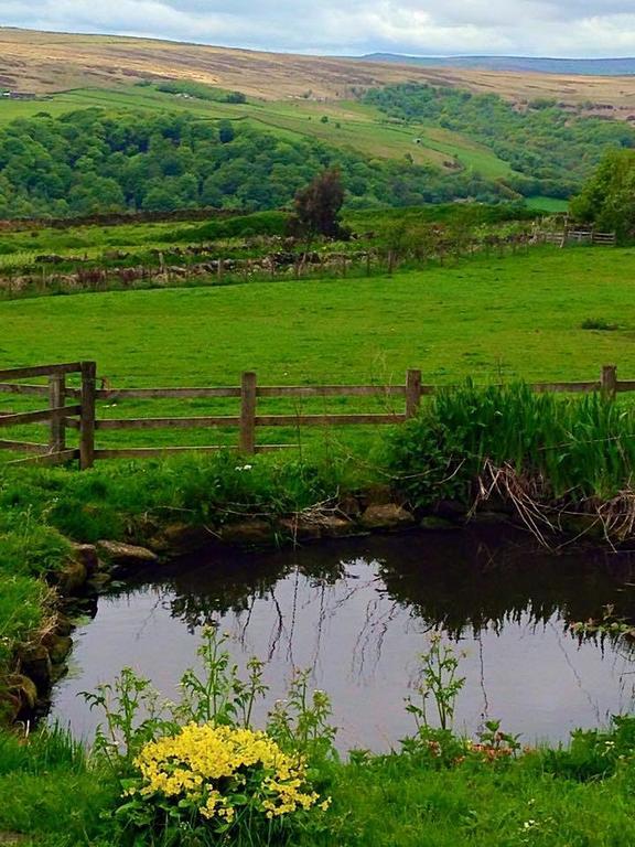 هيبدين بريدج Far Moorside Farm B&B المظهر الخارجي الصورة